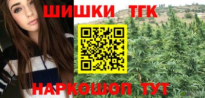 крисы Ирбит