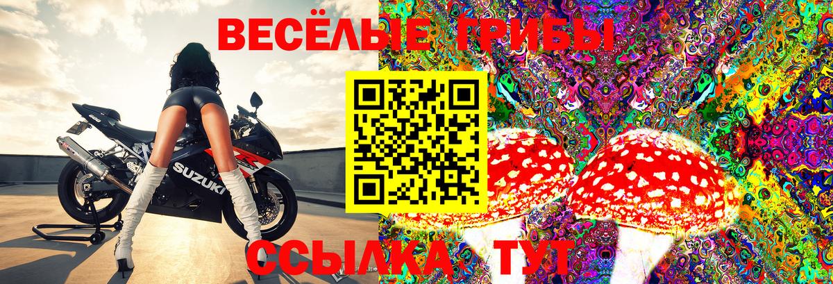 Кубинка  купить   Вход с VPN  Псилоцибиновые грибы Psilocybine cubensis 