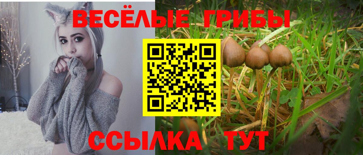 Галлюциногенные грибы ЛСД Кубинка